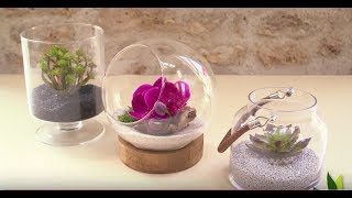 Créez votre terrarium artificiel en 1 minute   Truffaut [upl. by Ailaroc]