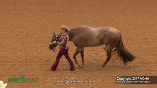 2017 AQHA Select Showmanship [upl. by Philbert480]