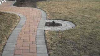 Paver Walkway  Landscaping Ideas Doylestown PA [upl. by Adrea]