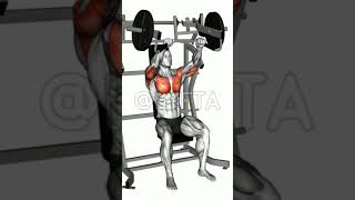 UPPER CHEST PRESS MACHINE gym fitness [upl. by Ikin469]