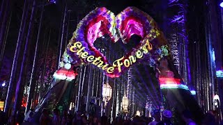 Electric Forest Music Festival Transformed Using Projection Mapping  Testimonial [upl. by Kcirde]