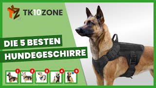 Die 5 besten Hundegeschirre [upl. by Ehr]