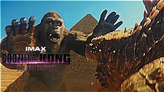 Godzilla amp Kong Fighting Scene in Egypt  Godzilla X Kong The New Empire [upl. by Aicilaf]