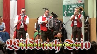 Wildbach Trio  Was steht da drob´n am Olmaroan [upl. by Halbeib118]