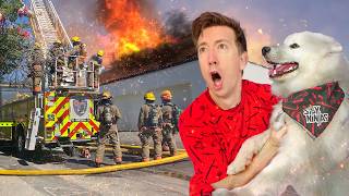 Firefighters Can’t Save My Dog [upl. by Maddy]