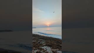 Estepona sunrise song music shorts youtubeshorts [upl. by Rickart]