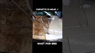 I Finally Gave My 25YearOld Corvette Its First Wash shorts ytshorts restoration carwash auto [upl. by Gherlein]