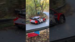 🍂Autumn Leaves  Central European Rally 2024 rally wrc2024 race drift centraleuropeanrally [upl. by Boardman]