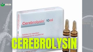 The secret behind Cerebrolysins powerful effects [upl. by Cedell]