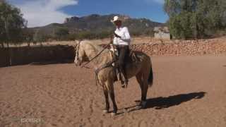 Tecnicas para Hacer un Caballo Coleador 1 [upl. by Eet]