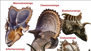 MEMBERS OF THE CERATOPSIAN FAMILY [upl. by Saucy]