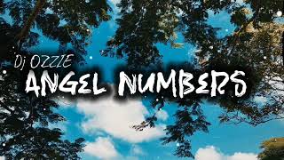 Chris Brown  ANGEL NUMBERS  Dj OZZIE Remix  Moombahchill  2024 [upl. by Gross742]