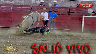 ¡¡¡NO SE LO PODÍAN QUITAR ¡¡FUE HORRIBLE Y SALIÓ VIVO CON ESTOS TOROS DE H3H [upl. by Haynes]