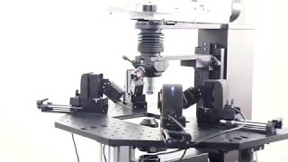 Installation of Sensapex micromanipulator [upl. by Killion]