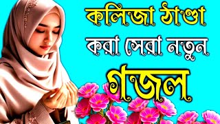 কলিজা ঠান্ডা করা গজল New Bangla Gazal2024 GhazalGojol Islamic Gazal Bangla Gazal [upl. by Erual]