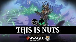 An honest video about Squirrels in Standard 🐿️ [upl. by Mag399]