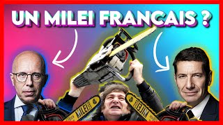 Il FAUT un MILEI FRANCAIS  Mais QUI [upl. by Hilarius959]