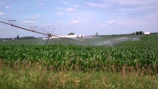 Irrigating corn fieldmp4 [upl. by Allistir]