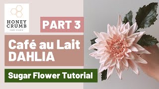 PART 3 Sugar Dahlia Tutorial How to Make a Café Au Lait Dahlia out of Gumpaste [upl. by Woods]