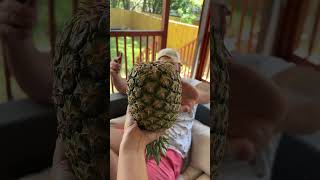 Upside down pineapple 🍍 couples funny viral fyp [upl. by Elac636]