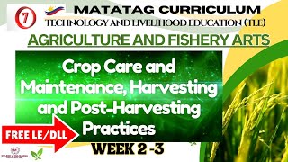 TLE Grade 7 Quarter 2  AFA Weeks 23 CROP CARE AND MAINTENANCE HARVESTING AND POST HARVESTING [upl. by Llerdnam807]