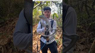 Best☑️ Chinese gadgets for cutting bamboo😱Tool itemsNew Viral Gadgets Smart Appliancessorts [upl. by Atilek]