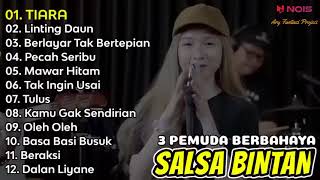 TIARA  SALSA BINTAN FEAT 3 PEMUDA BERBAHAYA FULL ALBUM TERBARU 2022 [upl. by Alyk]