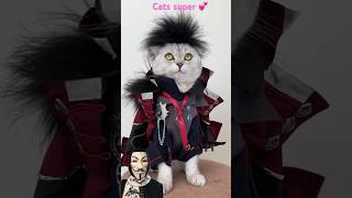 cats super 💕cats cat animals [upl. by Clarisse]