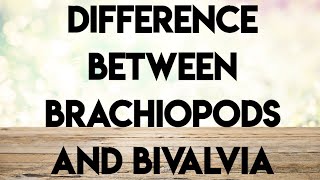 Geology palaeontologyecture series difference between brachiopods and bivalvia [upl. by Adnorrehs936]