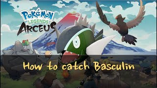 How To Find and Catch Basculin In Pokemon Legends Arceus  Evolve to Basculegion [upl. by Rainer]