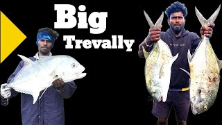 மாட்டிய மீன் எல்லாம் படாசைஸ் Catching Giant Trevally [upl. by Roxie]