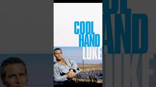 Reel Brother Bites “Cool Hand Luke” 1967 [upl. by Leyes]