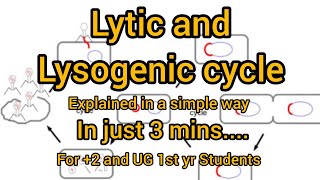 Lytic and Lysogenic cycleModel of virus replication replication lytic Lysogenic cycle virus [upl. by Aisinoid]