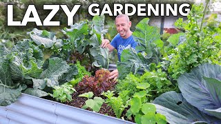 Companion Planting the LAZY Way to Garden [upl. by Graces937]