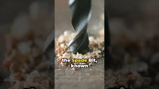 Forstner vs Spade Bits Exploring the Drill Differences diytools tools woodworking [upl. by Beka]