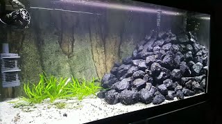 Aquascaping the 70 Gallon Start to Finish A LOT OF STONES [upl. by Aggy633]