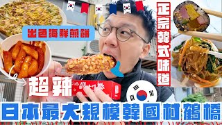 朝聖日本最大規模韓國村鶴橋喺日本食韓國嘢係咩體驗😱超出色海鮮煎餅🥰巨型韓式炸熱狗🤩大阪仔奉獻第一次食辣嘢 [upl. by Rebliw]