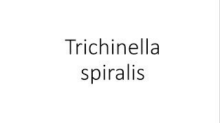 Trichinella spiralis  Parasitology [upl. by Doloritas]