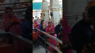 Nagarkot Wali mata ke Jai 🙏matarani love bhajan temple nagarkot pepole jaimatadi [upl. by Lydnek]