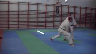 VALENCIA TOMIKI AIKIDO [upl. by Stanfill975]