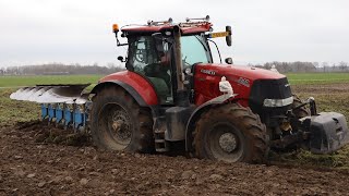 Case Puma 240 cvx onland ploughing with Lemken Juwel 8  PloegenPflügen [upl. by Cutlip]