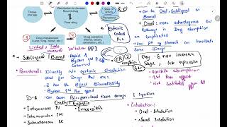 Pharmacokinetics  Routes of Drug Administration  pharmacokinetics pharmacology [upl. by Aisatana331]