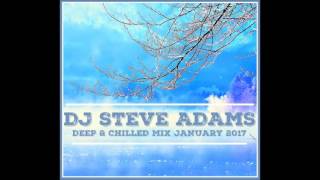 Deep amp Chilled Mix Jan 2017 [upl. by Dehsar]