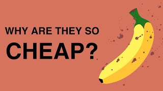 Why Are Bananas So Cheap The Dark History of Bananas [upl. by Mychael]