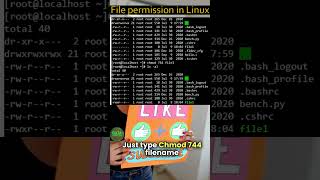 Mastering File Permissions in Linux chmod in Hindi  Linux Unix shorts [upl. by Akir115]