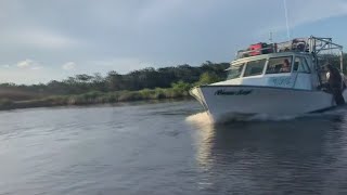 Take a boat tour of the Homosassa River [upl. by Adnarram267]