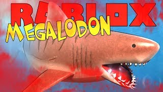 MEGALODON MEGA HAAI   Roblox SharkBite [upl. by Arahset]