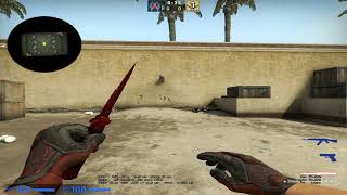 Stiletto Knife  Crimson Web FT Crimson Web Gloves WW [upl. by Irrehc]