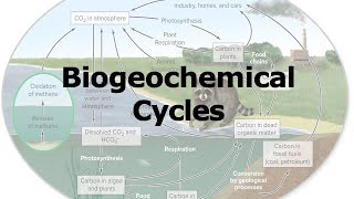 Biogeochemical cycles [upl. by Netsrijk]