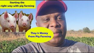 Starting the Right way with Pig Farming [upl. by Nohcim]